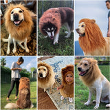 Funny Pet Lion Headband - Dog Apparel & Accessories - Fashionable Humorous Dog Headgear Accessory for Pet Owners - Soft Comfortable Wearable Party Prop