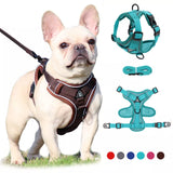 Reflective Dog Harness for Small Dogs