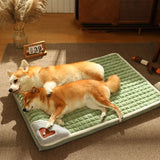 Detachable Cervical Spine Protector Pet Bed